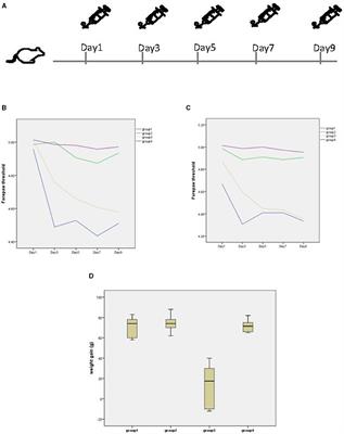 The auditory function in migraine model rats induced by postauricular nitroglycerin injection